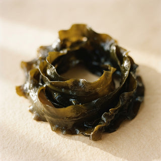 Kelp