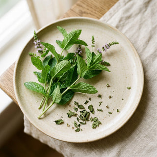 Spearmint Extract