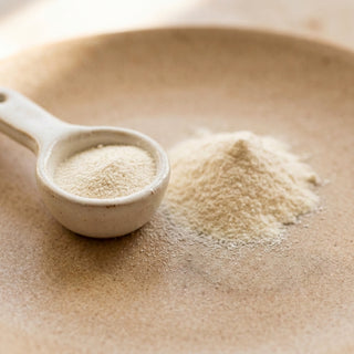 Collagen Complex (types I, II & III)