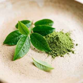 Green Tea Extract